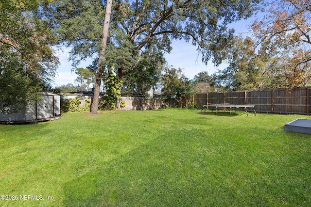 view of yard featuring a trampoline and a storage shed