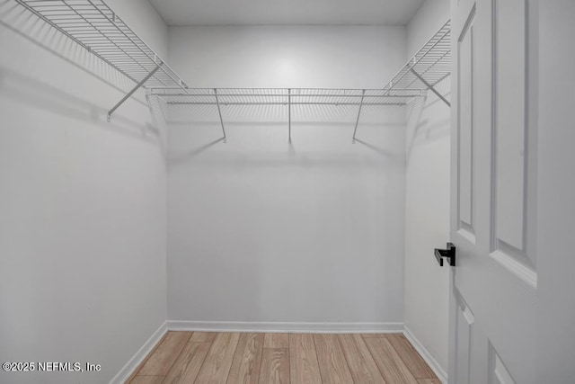 spacious closet with light hardwood / wood-style floors