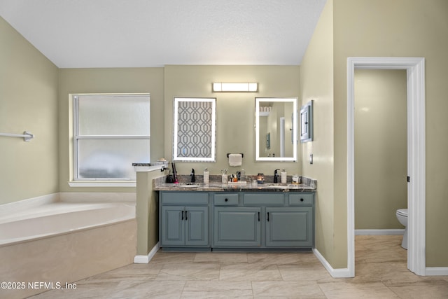 bathroom featuring vanity, a washtub, and toilet