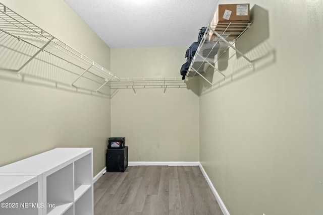 spacious closet featuring light hardwood / wood-style floors