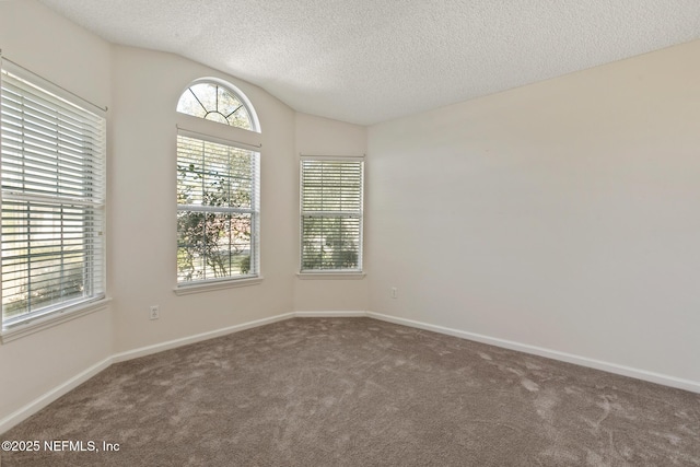 unfurnished room featuring lofted ceiling, carpet floors, and a textured ceiling