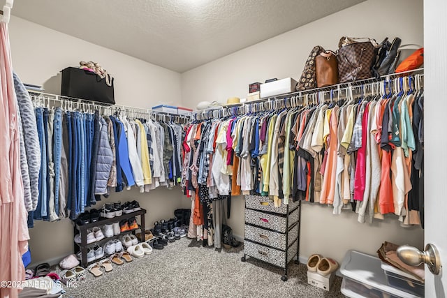 spacious closet with carpet flooring