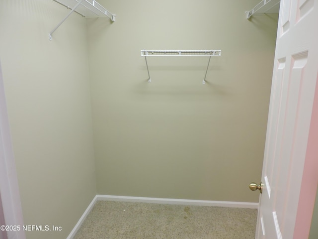 spacious closet featuring carpet flooring