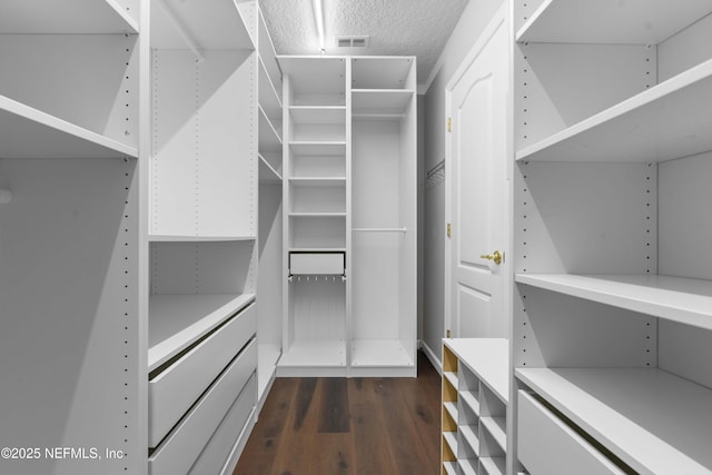 spacious closet featuring dark hardwood / wood-style flooring