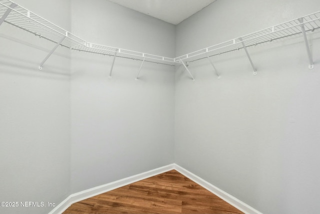 walk in closet with wood-type flooring