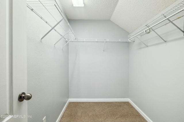 spacious closet featuring carpet floors