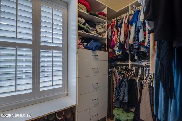 view of walk in closet
