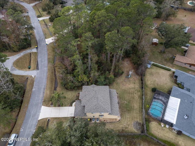 bird's eye view
