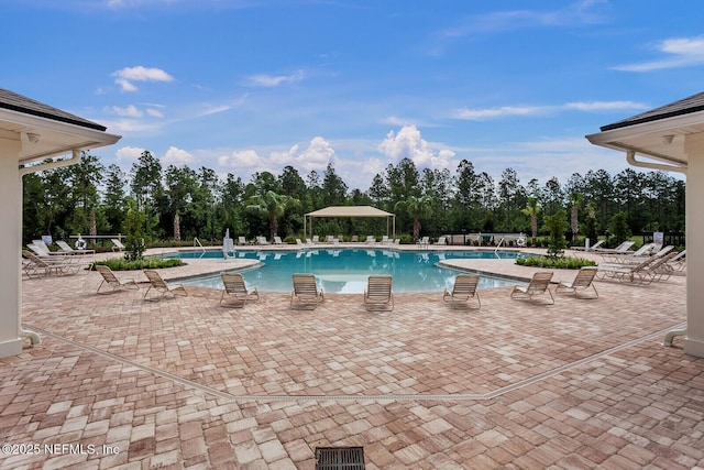 view of pool with a patio area