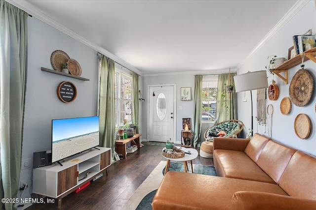 living room with crown molding and dark wood-type flooring