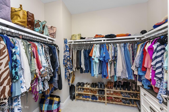 walk in closet with carpet floors