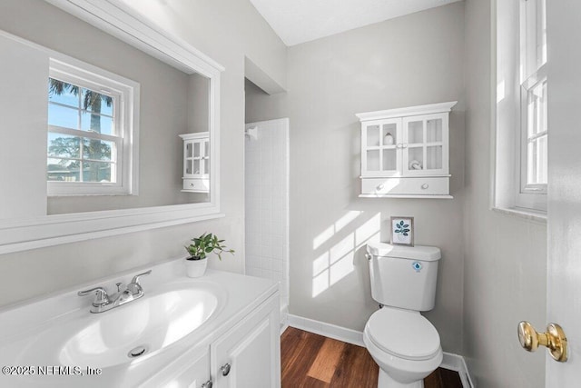 bathroom with vanity, toilet, and hardwood / wood-style floors