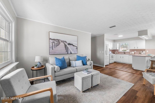 living room with sink, a textured ceiling, dark hardwood / wood-style floors, and crown molding