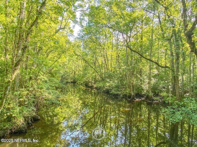 view of nature