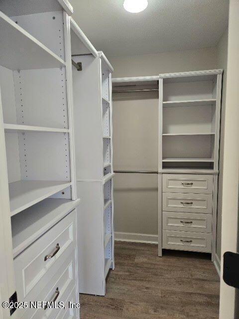 walk in closet with dark wood finished floors