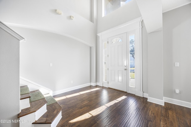 foyer featuring dark wood-type flooring, a high ceiling, and a wealth of natural light