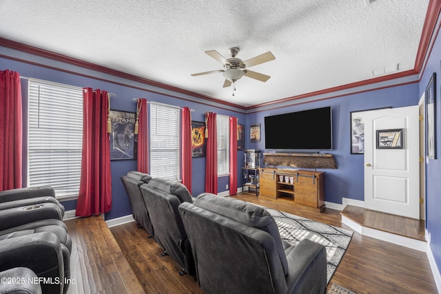 living room with ceiling fan, ornamental molding, dark hardwood / wood-style flooring, and a textured ceiling