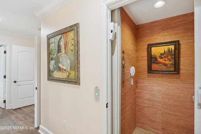 hall featuring ornamental molding, wood finished floors, and baseboards