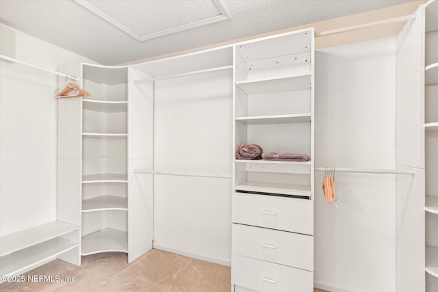 109 Bilbao Dr, Saint Augustine, FL 32086 - spacious closet featuring light carpet