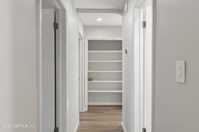 interior space featuring light hardwood / wood-style flooring