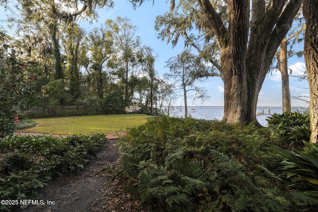 view of yard featuring a water view