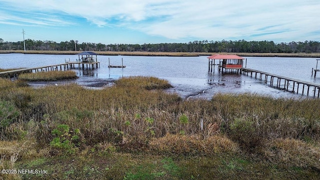 dock area with a water view