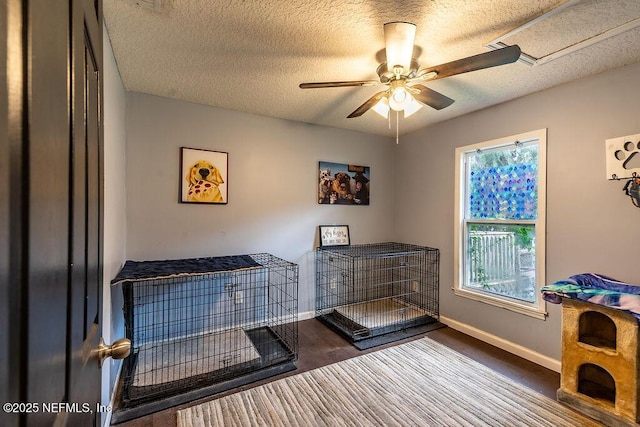 interior space with wood-type flooring, a textured ceiling, and ceiling fan