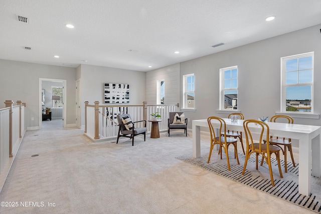 dining room featuring a wealth of natural light, light colored carpet, and a textured ceiling