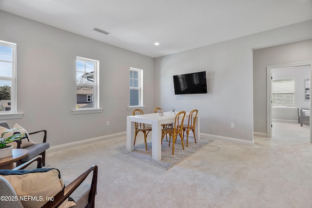 carpeted dining room featuring plenty of natural light and a textured ceiling