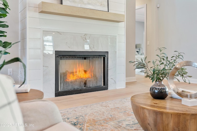 details featuring a premium fireplace and wood-type flooring