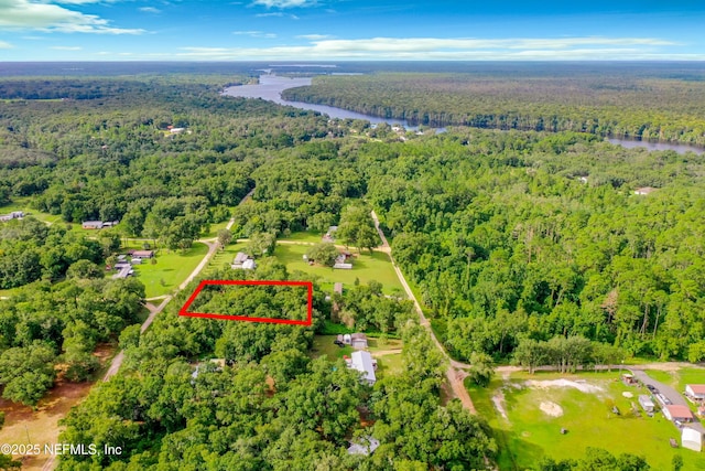 207 Richmond St, Satsuma FL, 32189 land for sale