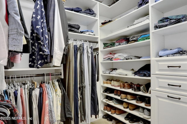 view of walk in closet