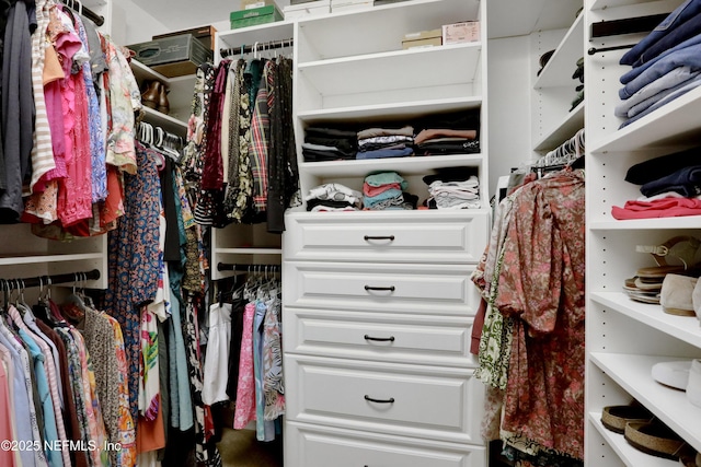 view of spacious closet