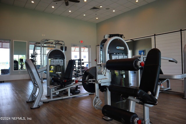 workout area featuring dark wood-type flooring, a paneled ceiling, and a high ceiling