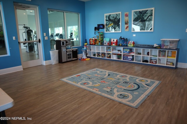 recreation room featuring wood-type flooring