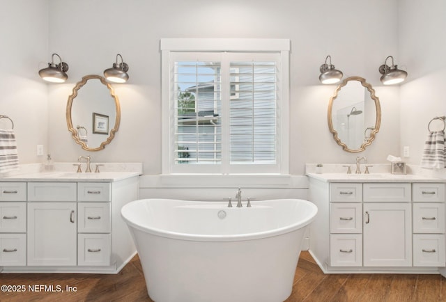 bathroom with wood-type flooring, vanity, and a washtub