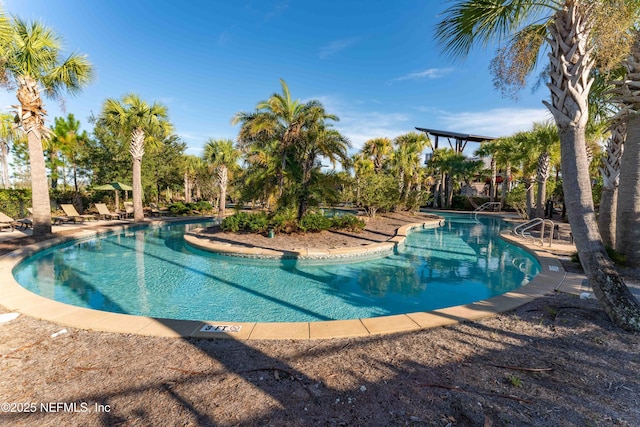 view of swimming pool