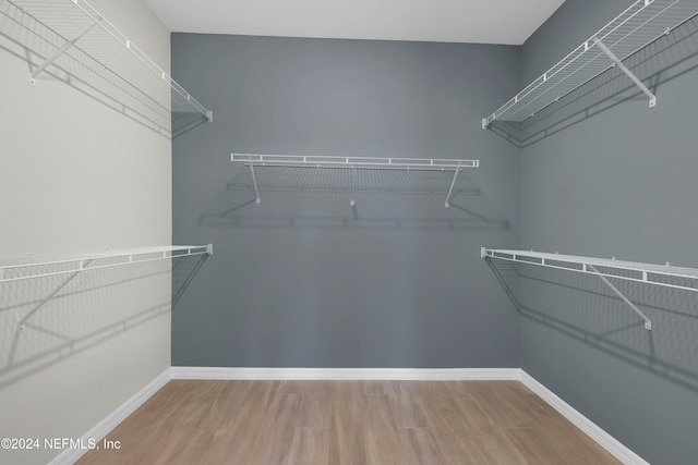 walk in closet featuring wood-type flooring