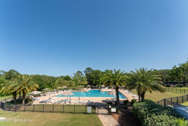 view of swimming pool featuring a yard