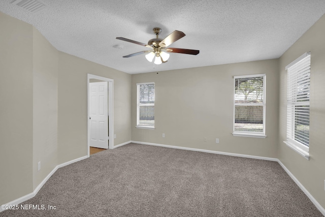 empty room with a wealth of natural light, carpet floors, and a textured ceiling