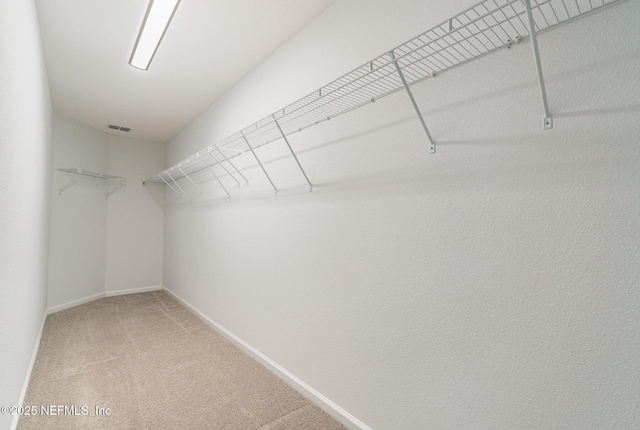 spacious closet with carpet flooring