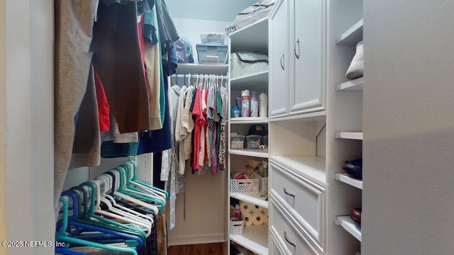 spacious closet featuring wood-type flooring