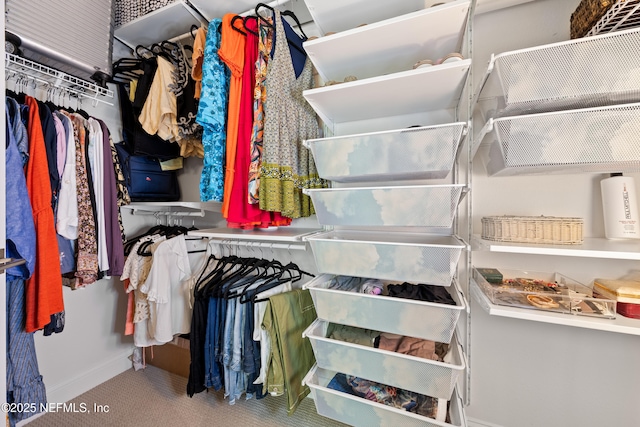 spacious closet with carpet