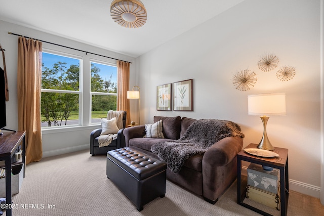 view of carpeted living room