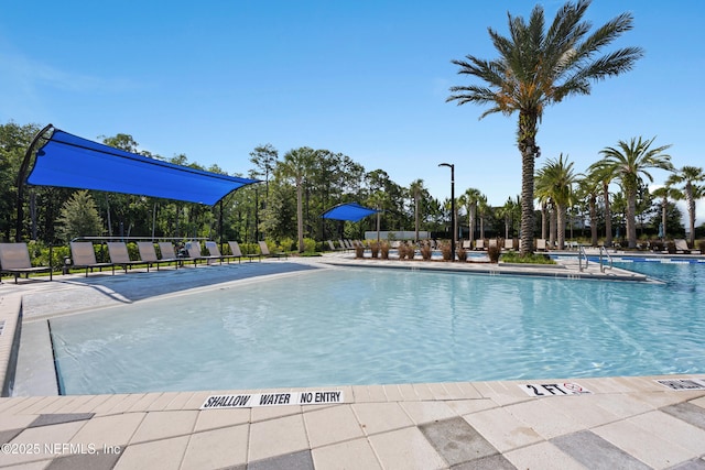 view of pool featuring a patio area