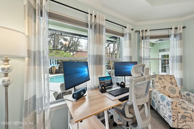 office featuring crown molding and plenty of natural light