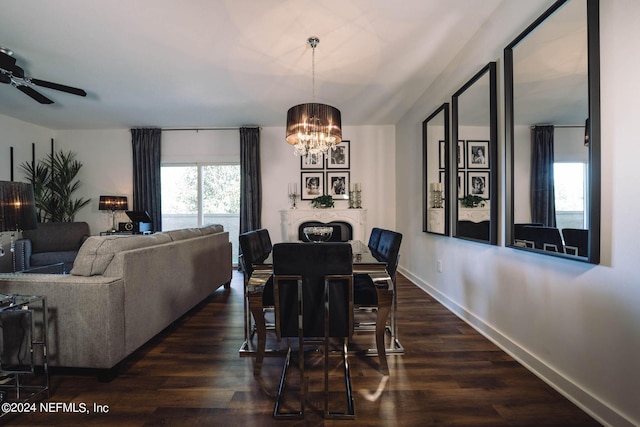 dining area featuring ceiling fan with notable chandelier and dark hardwood / wood-style floors