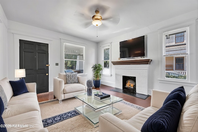 living room featuring ceiling fan and hardwood / wood-style floors