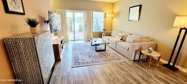 living room featuring wood-type flooring