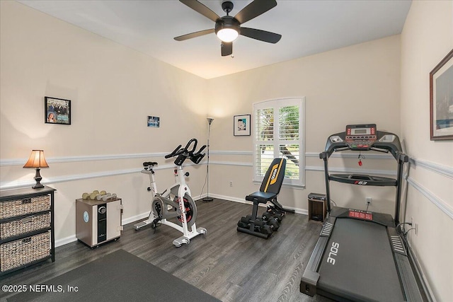 workout room with dark wood-type flooring and ceiling fan